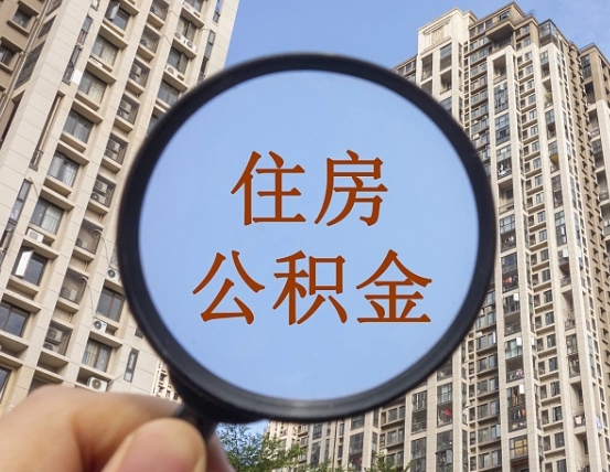眉山退休后查不到公积金明细了吗（退休后公积金查询不到原因）